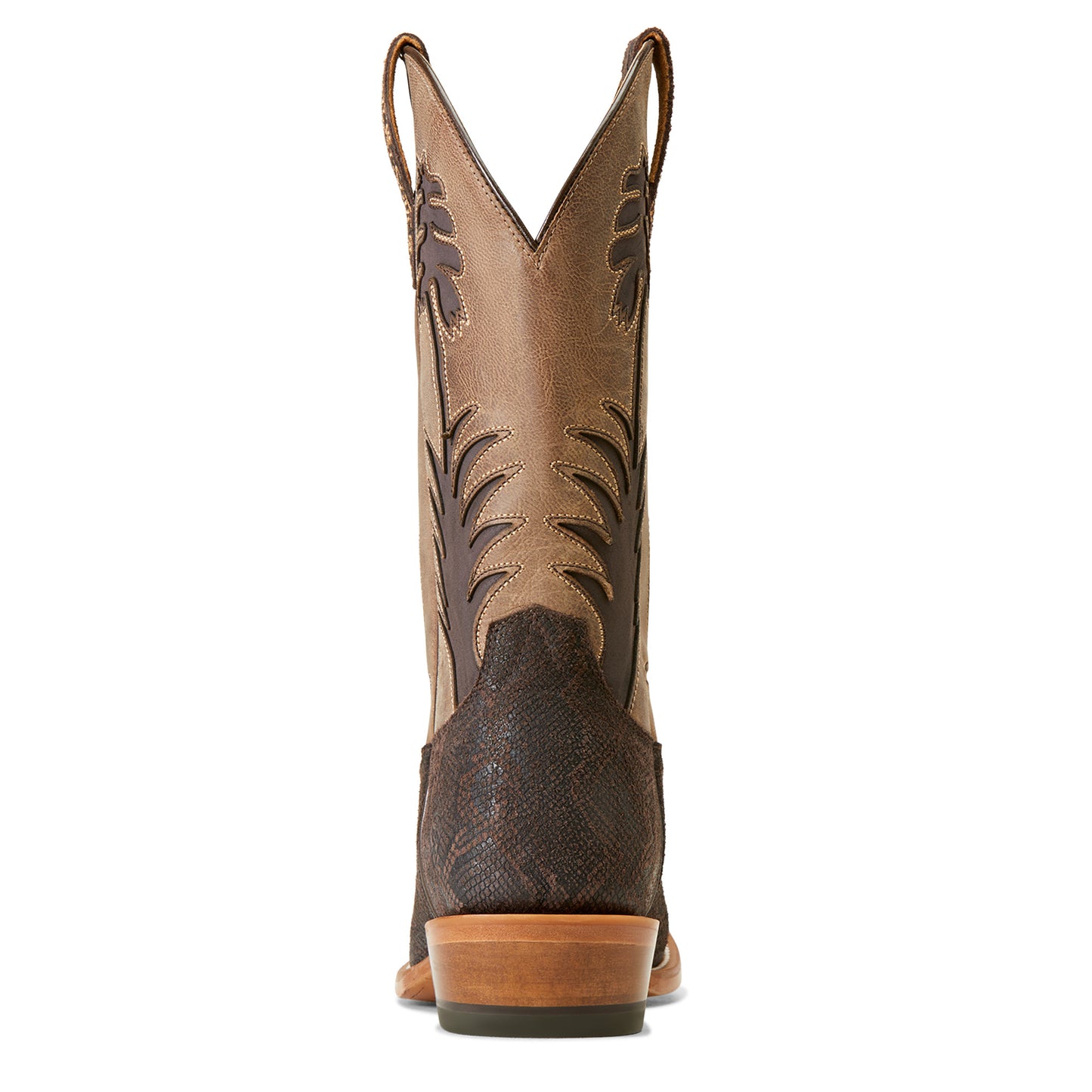 ARIAT - CHOCOLATE SNAKE PRINT - 10047474