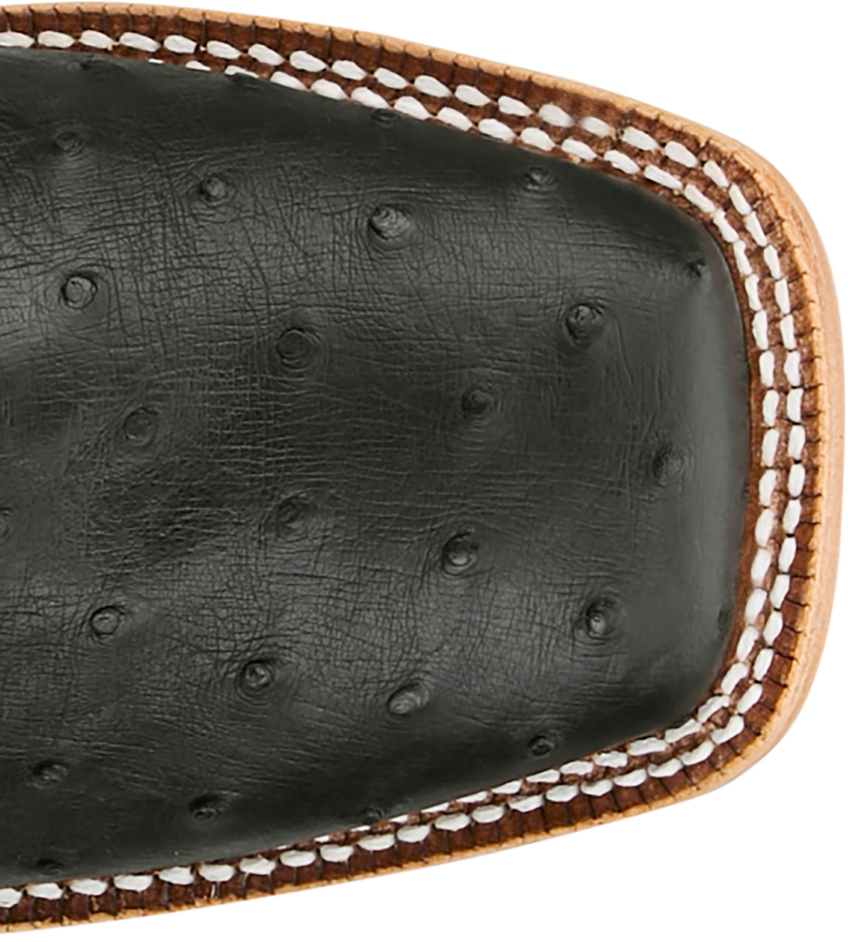 TONY LAMA - 11" JUAN FULL QUILL OSTRICH - BLACK